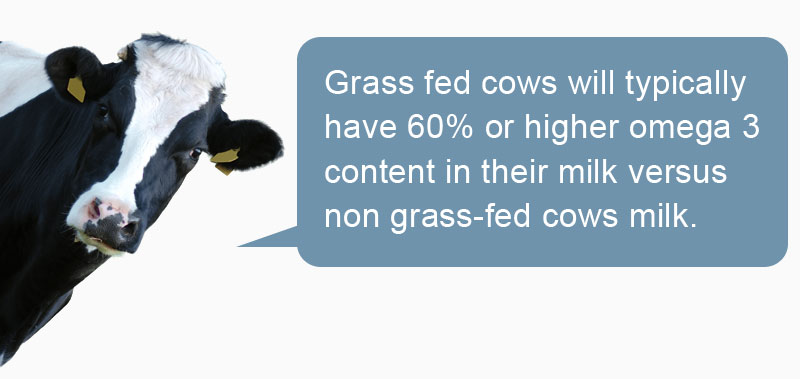 Grass fed cows have 60% omega 3